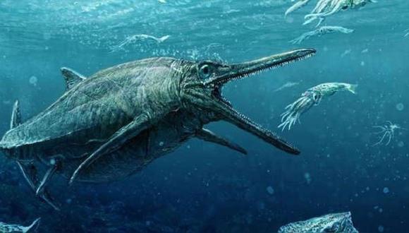 Ictiosaurio, un inmenso dinosaurio marino.