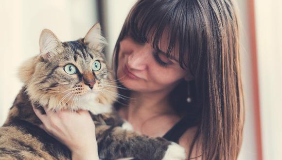 5 importantes razones para ser una 'cat lover'