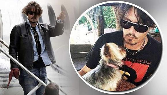 Australia: ministro busca meter preso a Johnny Depp por sus dos perritos