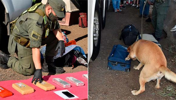 Gracias al perro se halló 84 kilos 20 gramos, acondicionados en dos bolsos de mano, una mochila, una valija y dos bolsas de nylon.