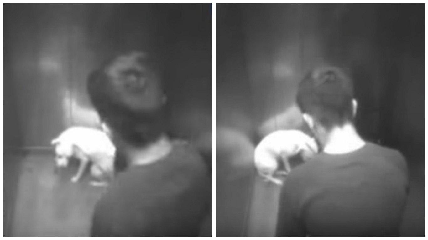 ​YouTube: Este repudiable acto provocó que ella termine con su novio [VIDEO]