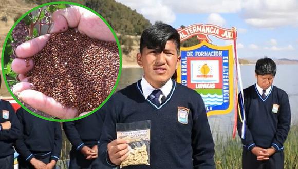 Escolares de Puno crean "chizitos" de cañihua para combatir la anemia (VIDEO)