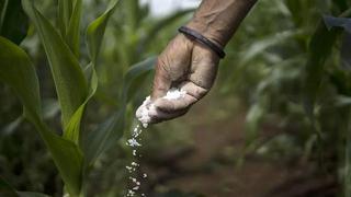 Fertilizantes: Todo lo que se sabe sobre el tercer proceso de compra de urea