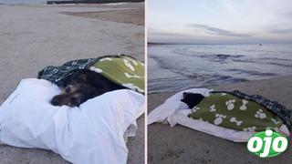 Greta, la perrita con una enfermedad terminal que pasó sus últimas horas frente al mar