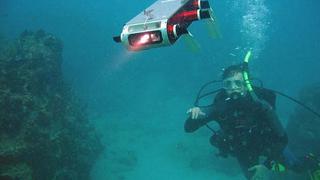 Robots marinos y captura del ADN son el futuro de exploración oceánica 