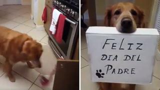 Día del Padre: perrito se viraliza por saludar a su dueño | VIDEO