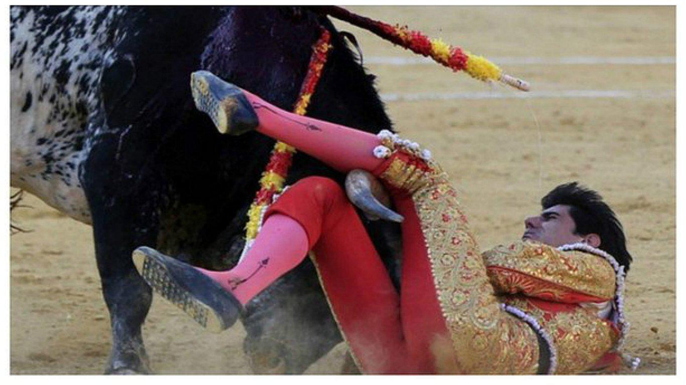 Víctor Barrio: Sacrificarán a la madre del toro que mató a torero 