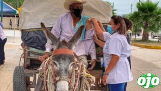 Abuelito acude a centro de vacunación COVID-19 en burro 