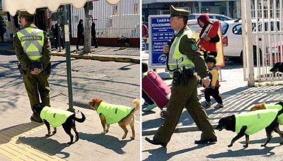 Mascotas: Perros callejeros dejan la miseria y se unen a los carabineros [FOTOS]