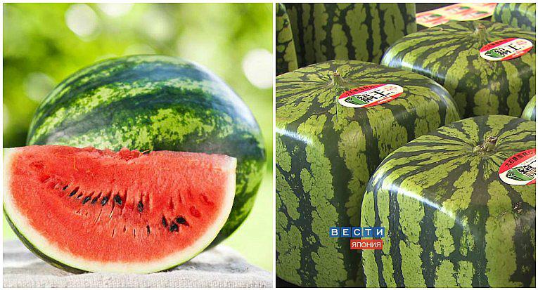 ¿Sandías cuadradas? Sí existen y pagan una millonada por consumir una (VIDEO)