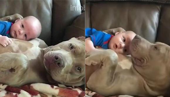 Mascotas: pitbull y bebé se roban el corazón de cibernautas con este bello video