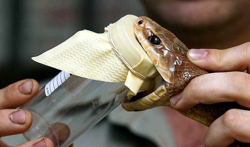 6 trabajos que pueden hacerte ganar mucho dinero