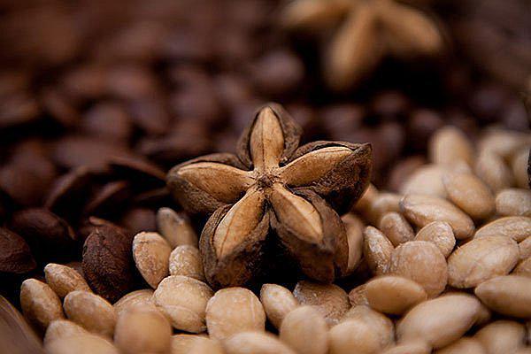 El omega 3 y el sacha inchi