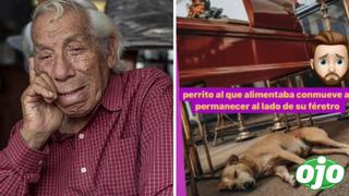 Guillermo Campos: perrito al que alimentaba conmovió durante su velorio | VIDEO