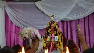 La procesión de mascotas sale en honor a San Lázaro