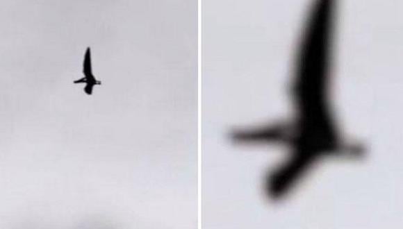 ​Youtube: Captan un 'pterodáctilo' sobrevolando Ohio [VIDEO]