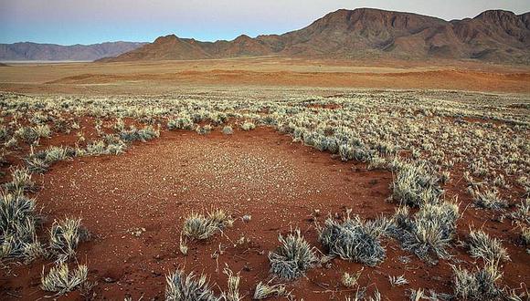 Nueva hipótesis explica misterio de los "círculos de hadas" de Namibia 