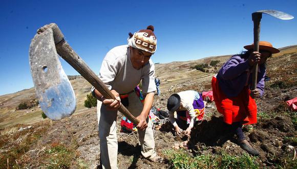 Cada 24 de junio se celebra a los campesinos y campesinas del Perú (Foto: Andina)
