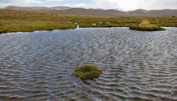 Conservación de la Reserva Nacional Salinas y Aguada Blanca garantizará el suministro de agua para toda la población de Arequipa.