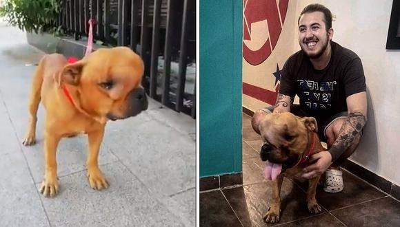 Joven adopta a perrito con cáncer para que pase sus últimos días en paz