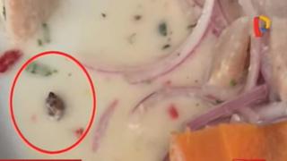 ​Comensal encuentra insecto en ceviche de conocido restaurante (VIDEO)
