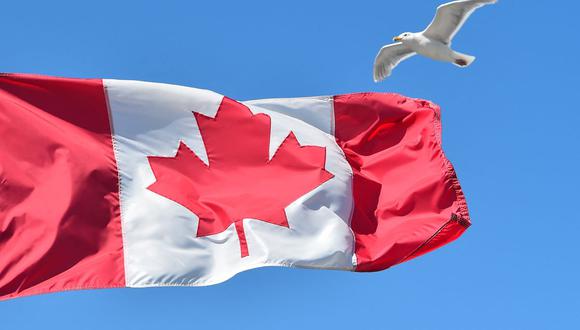 Canadá busca contratar personas extranjeras (Foto: AFP)