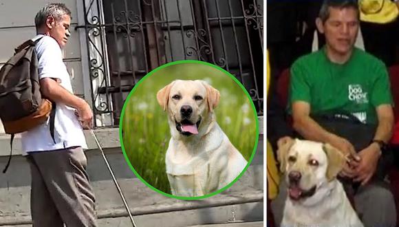 Ciego busca a su perro guía y pide ayuda para encontrarlo (VIDEO)