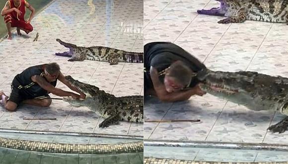 Domador de cocodrilos es atacado por uno de sus enormes reptiles (FOTOS)