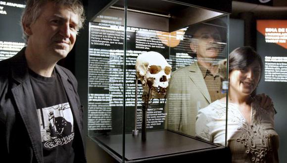 Cráneo de 450 mil años se mostrará al público por primera vez 