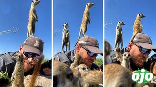Fotógrafo de documentales es sorprendido por suricatas