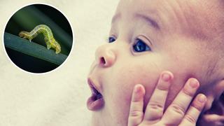 Una madre demanda a fabricante de leche tras ver que su bebé vomitara un gusano de 7 centímetros 