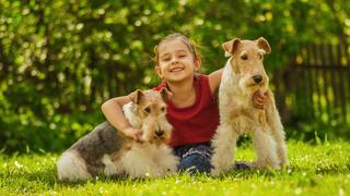 Día mundial del perro: Cuatro beneficios para los niños al tener esta mascota en casa