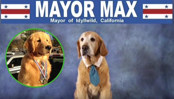 El pueblo de EE.UU. que tiene como un alcalde a un perrito