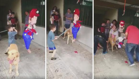 Perrito se vuelve la sensación en fiesta infantil al destrozar piñata (VIDEO)