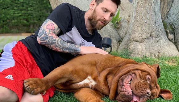 Messi con su perro Hulk que dejó en Barcelona, España.