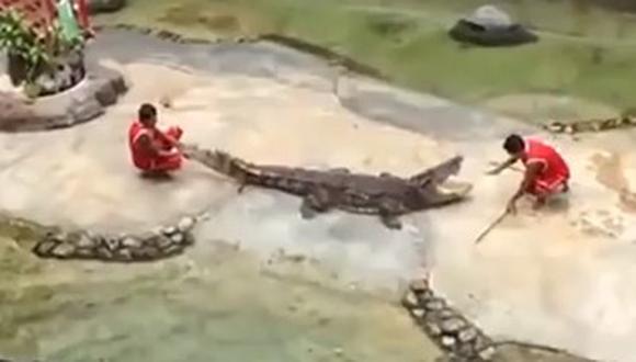 Domador casi es devorado por cocodrilo en Tailandia [VIDEO]