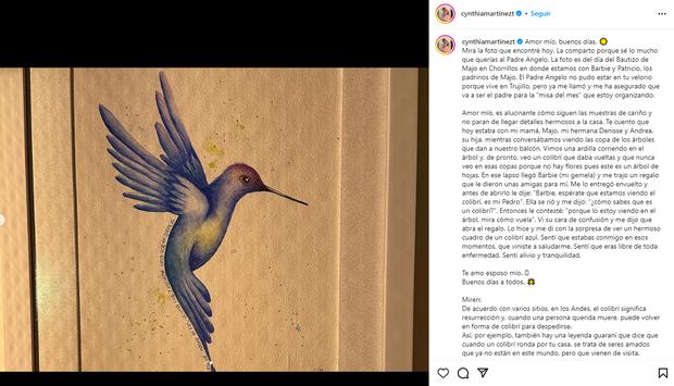 Cynthia Martínez dice que vio a Pedro Suárez Vértiz en un colibrí.