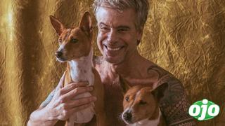 Diego Bertie: vecinos se muestran preocupados tras llantos de perritos del actor