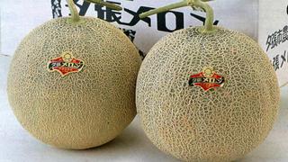 Venden par de melones en más de 12 mil euros