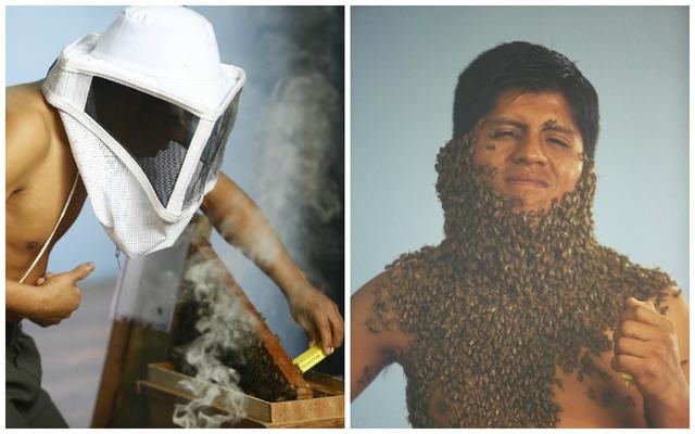 El domador de abejas