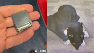 ¡Busca al verdadero dueño! Sujeto se hace viral por encontrar cartucho abandonado de ‘Nintendog’