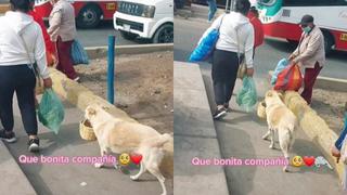 ¡Un amigo fiel! Perrito ayuda a su dueña a vender comida en las calles y enternece a usuarios