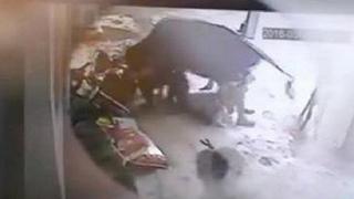 ​YouTube: Su dueña era agredida brutalmente y vaca reacciona así [VIDEO]