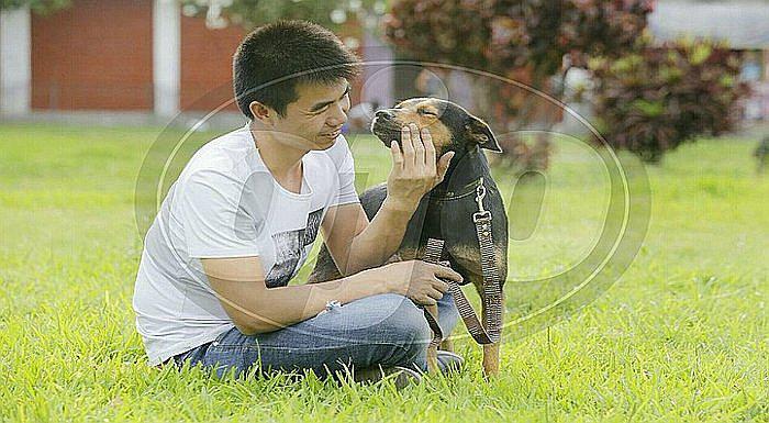 Admiten denuncia contra dueño de chifa "Asia" por apoderarse de perrito (VIDEO)