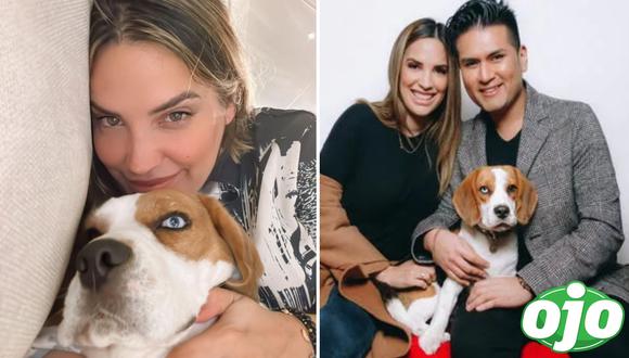 Qué pasó con el perro de Cassandra Sánchez y Deyvis Orosco. Foto: (Instagram/@casemaze).