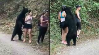 Mujer se acerca demasiado oso, se toma selfi con animal y la mandan a prisión | VIDEO 