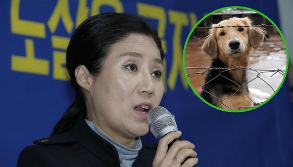 Defensora de animales de reconocida ONG animalista resultó ser asesina en serie de inocentes perros