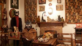 “Museo de los Gatos” ofrece recorrido virtual gratuito durante cuarentena │ VIDEO