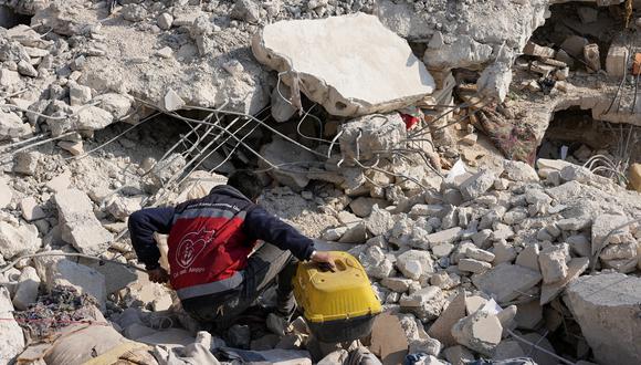 Un voluntario busca animales entre los escombros de un edificio devastado por un terremoto en Jindayris, en la provincia siria de Alepo, controlada por los rebeldes. (Foto de Rami al SAYED / AFP)