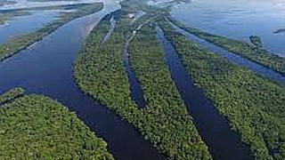En la Amazonía vivían comunidades estables hace más de 10,000 años